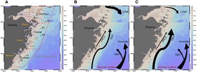 Summertime dissolved oxygen concentration and hypoxia in the Zhejiang coastal area